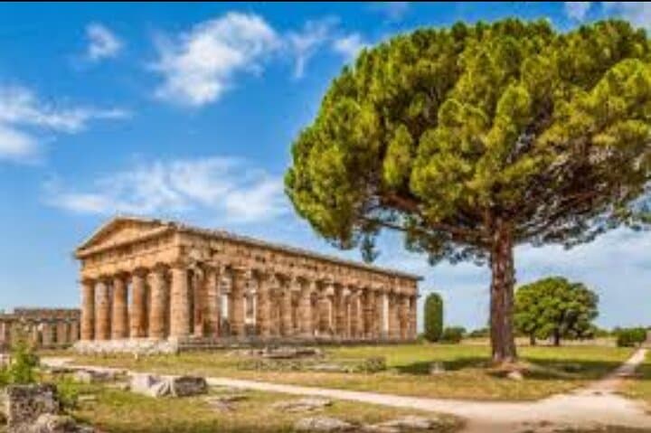 Paestum Private Tour: Ancient Doric Temples & Buffalo Mozzarella Tasting from Salerno