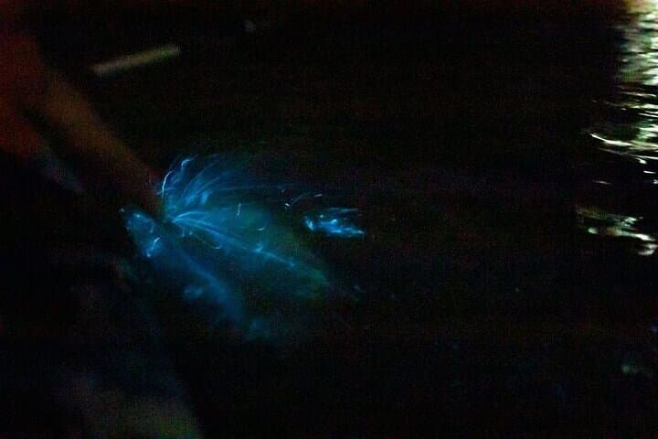 Paquera Bioluminescence Kayak Tour — 2-Hour Night Paddle in Costa Rica photo 5