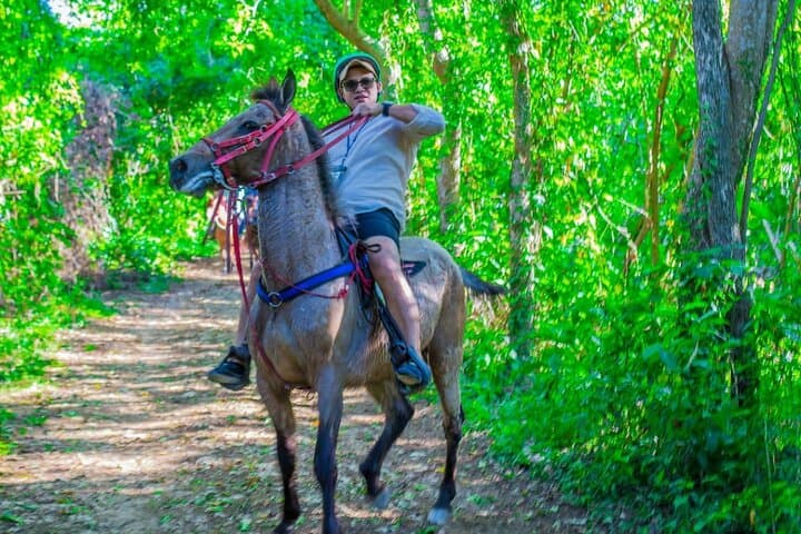 Punta Cana Horseback Riding to Macao Beach: Jungle, Culture & Coffee Tasting photo 1