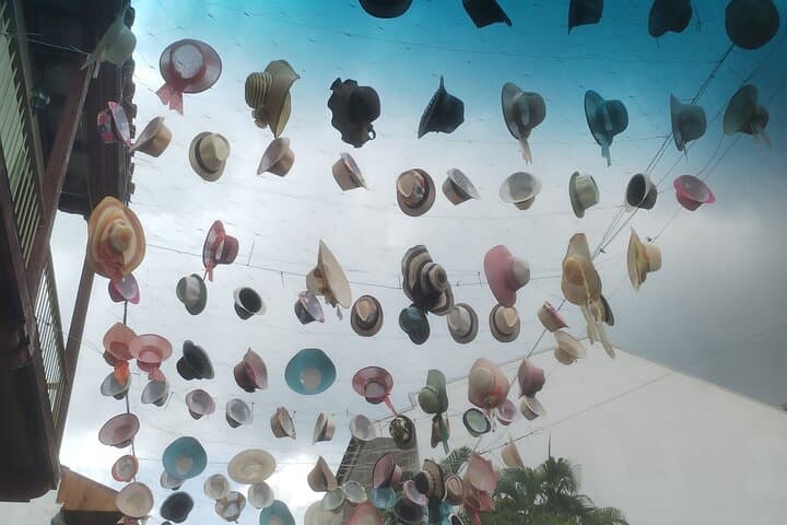 Panama Canal, Casco Viejo & Amador Causeway: Private Half-Day Tour Guide photo 3