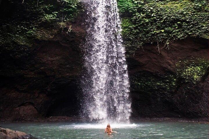 Ubud Full-Day Monkey Forest, Waterfalls & Tegalalang Rice Terrace Tour photo 5