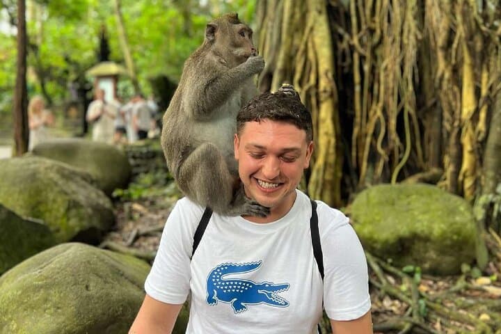 Ubud Full-Day Monkey Forest, Waterfalls & Tegalalang Rice Terrace Tour photo 2