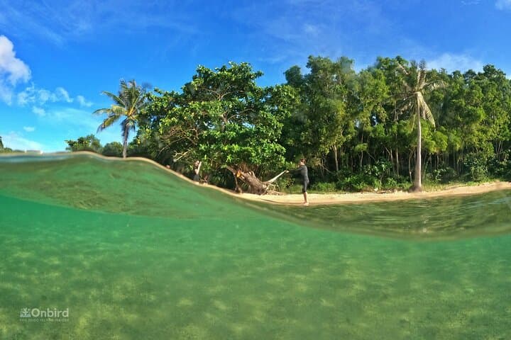Phu Quoc 4 Islands & 2 Reefs Snorkeling — Small-Group Discovery Tour photo 6