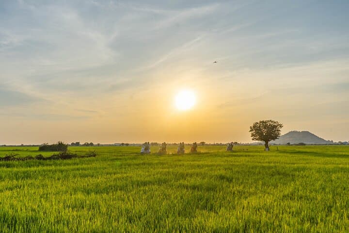 Vespas at Dusk: Siem Reap Countryside Sunset Ride and Rice-Field Snacks