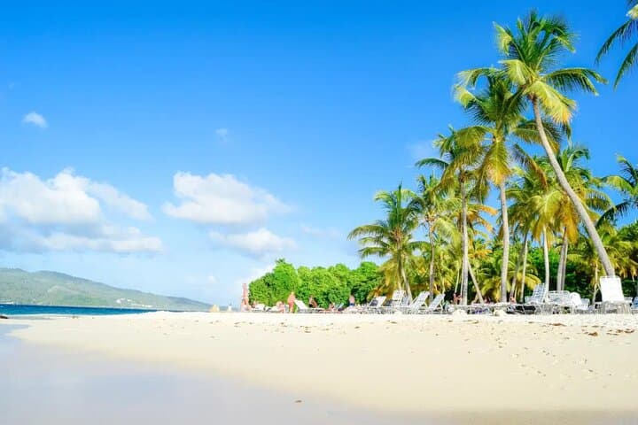 Samana Day Trip from Punta Cana — Whale Watching, El Limón Waterfall & Cayo Levantado photo 6
