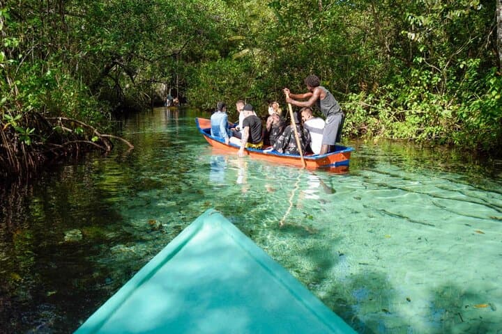 Samana Day Trip from Punta Cana — Whale Watching, El Limón Waterfall & Cayo Levantado photo 3