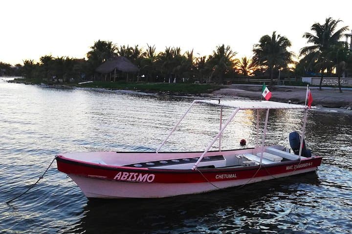 Private Snorkel Tour on the Costa Maya Reef Lagoon — Mahahual Small-Group Snorkeling with Turtles photo 4