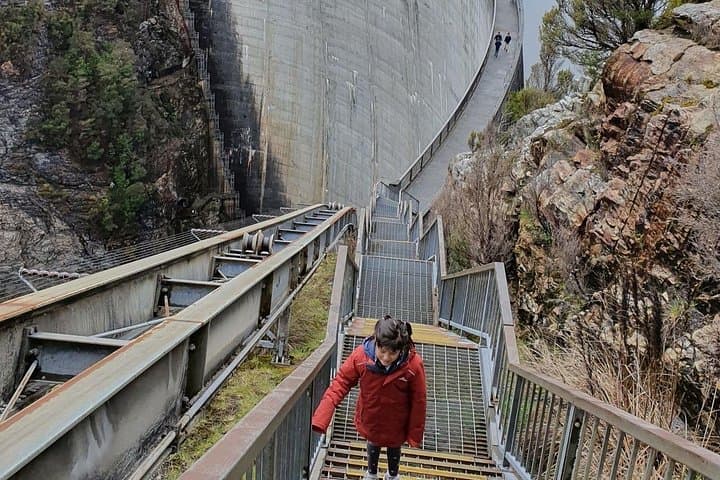 Gordon Dam & Lake Pedder Day Tour from Hobart — Tasmanian Wilderness Experience photo 4