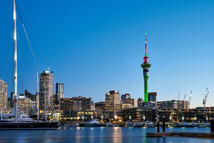 Auckland City Highlights and Hidden Gems Half-Day Tour — Mount Eden, North Head & Winter Garden