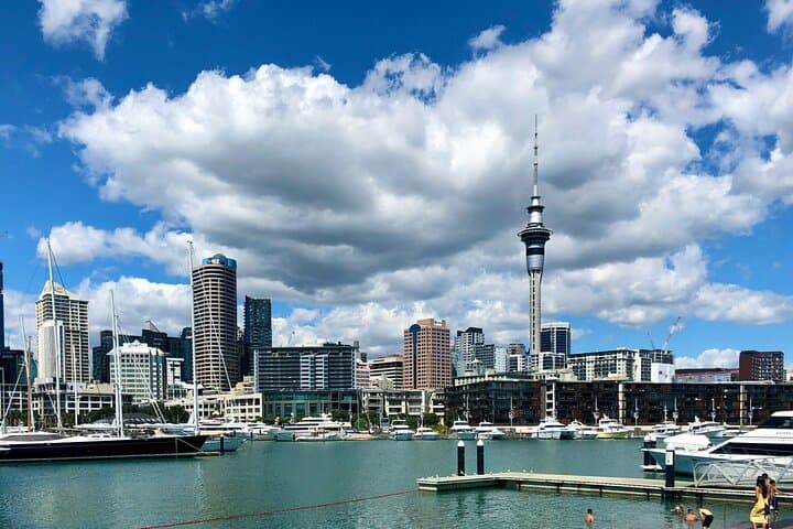 Auckland City Highlights and Hidden Gems Half-Day Tour — Mount Eden, North Head & Winter Garden photo 2