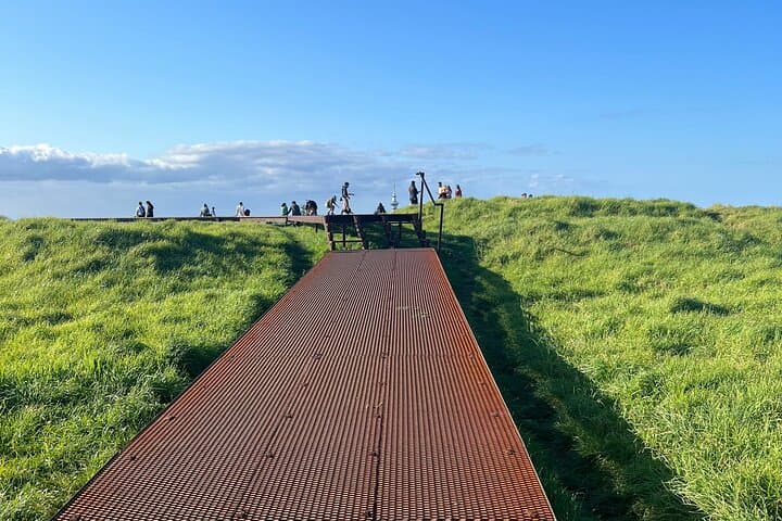 Auckland City Highlights and Hidden Gems Half-Day Tour — Mount Eden, North Head & Winter Garden photo 3