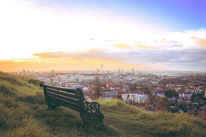Auckland City Highlights and Hidden Gems Half-Day Tour — Mount Eden, North Head & Winter Garden photo 5