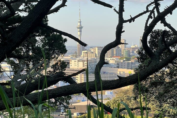 Auckland City Highlights and Hidden Gems Half-Day Tour — Mount Eden, North Head & Winter Garden photo 4