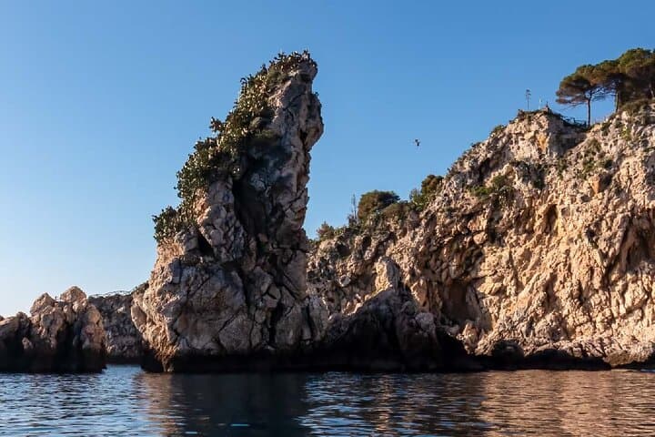 Sunset Dolphin Cruise and Aperitif from Giardini Naxos to Taormina photo 5