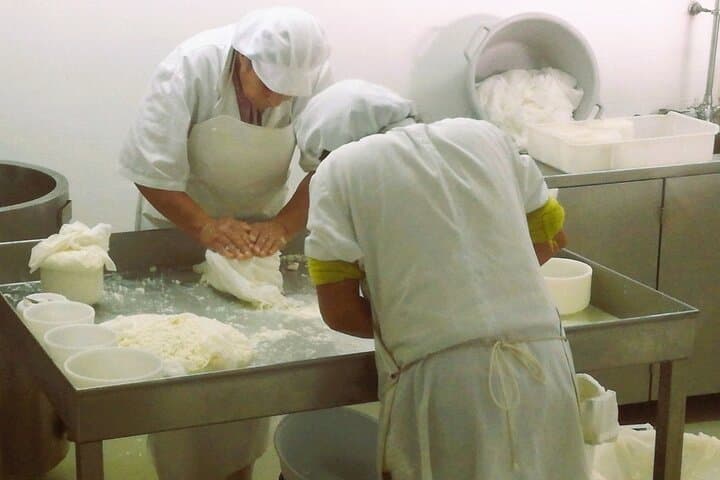 Serra da Estrela Day Trip: Cheese Factory, Bread Museum & Torre Summit photo 3
