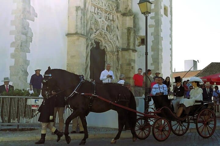 Lisbon to Golegã: Half-Day Lusitano Horse Experience & Carlos Relvas Studio photo 2