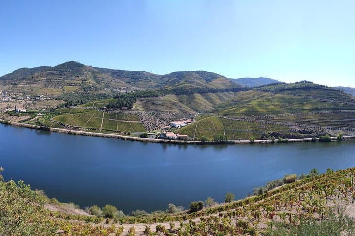 Private 7-Day Portugal Road Tour: Lisbon to Douro & Coastal Highlights