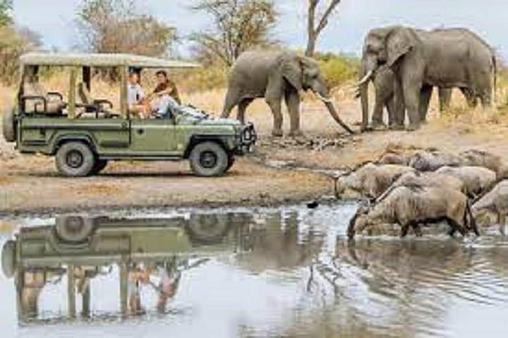 Luxury 4-Day Safari: Tarangire, Ngorongoro & Lake Manyara photo 4