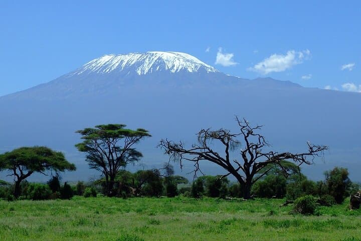 Amboseli Day Safari — Elephant Herds & Kilimanjaro Views photo 4