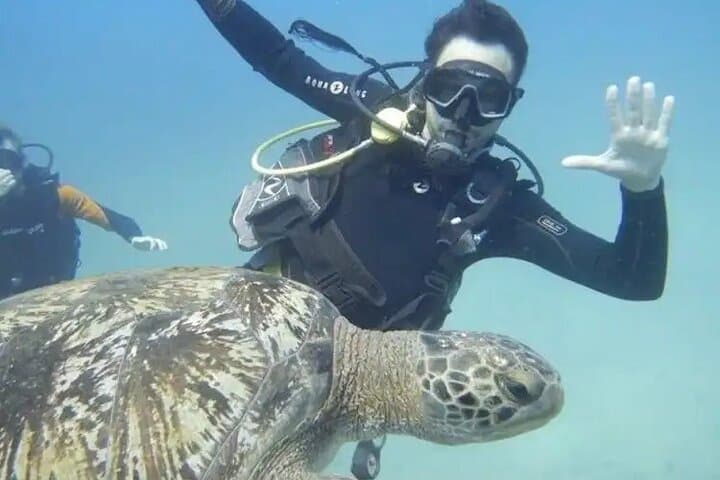 Cano Island Scuba Diving from Drake Bay: Two Dives on Costa Rica’s Coral Frontier