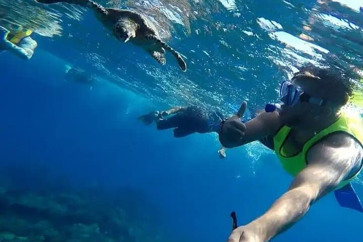 Isla del Caño Snorkel Tour from Drake Bay — Cano Island Day Trip
