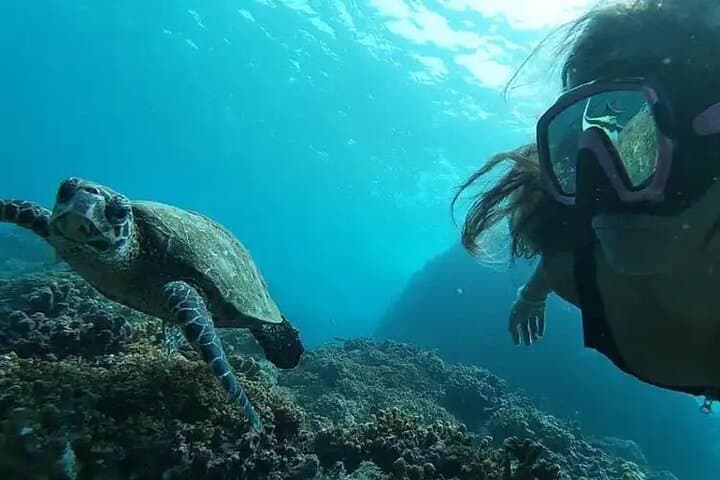 Isla del Caño Snorkel Tour from Drake Bay — Cano Island Day Trip photo 2