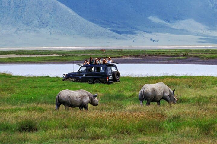 7-Day Private Serengeti & Ngorongoro Safari from Arusha photo 5