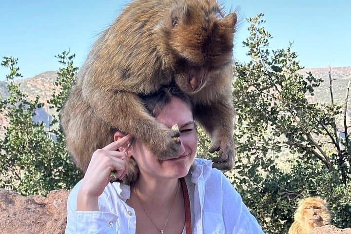 Ouzoud Falls Day Trip from Marrakech: Boat Ride, Waterfalls & Barbary Apes photo 4