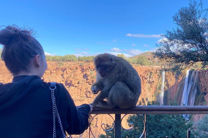 Ouzoud Falls Day Trip from Marrakech: Boat Ride, Waterfalls & Barbary Apes photo 6