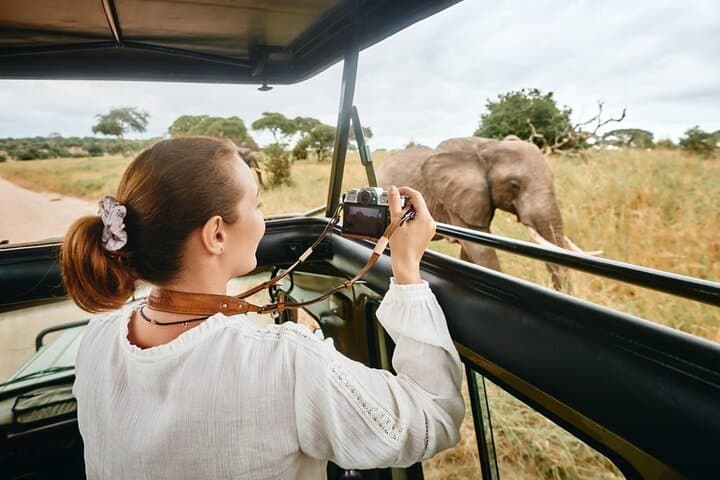 3-Day Private Safari: Tarangire & Ngorongoro with a Kilimanjaro Day Hike photo 6
