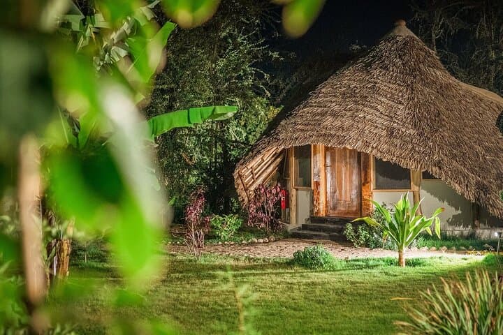 2-Day Private Safari from Zanzibar: Tarangire & Ngorongoro with Flights Included photo 3