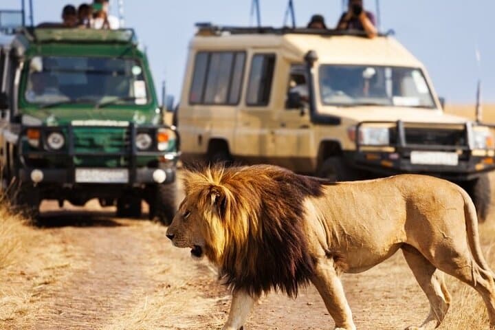Solio Ranch 2-Day Safari: Rhino-Focused 4x4 Game Drive from Nairobi photo 5