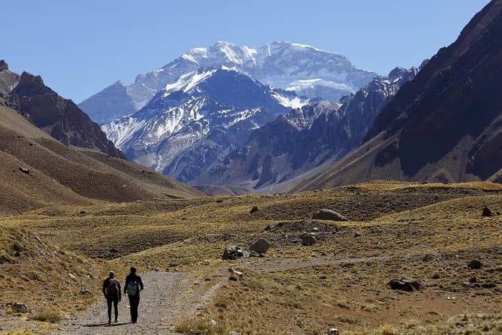Aconcagua Day Tour: Puente del Inca, Laguna del Inca & High-Andean Views photo 4