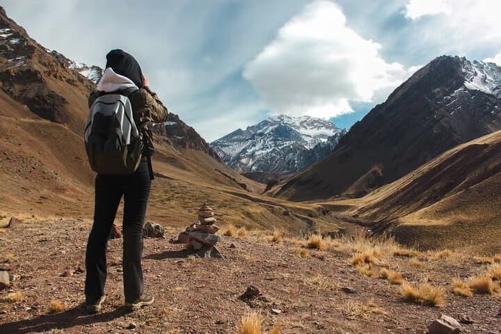 Aconcagua Day Tour: Puente del Inca, Laguna del Inca & High-Andean Views photo 6