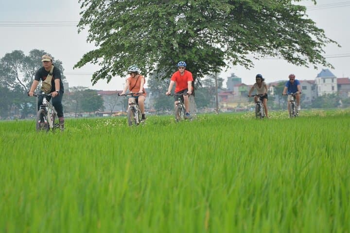 Hanoi Countryside Bike Tour — Long Bien Bridge, Co Loa & Local Food Tasting