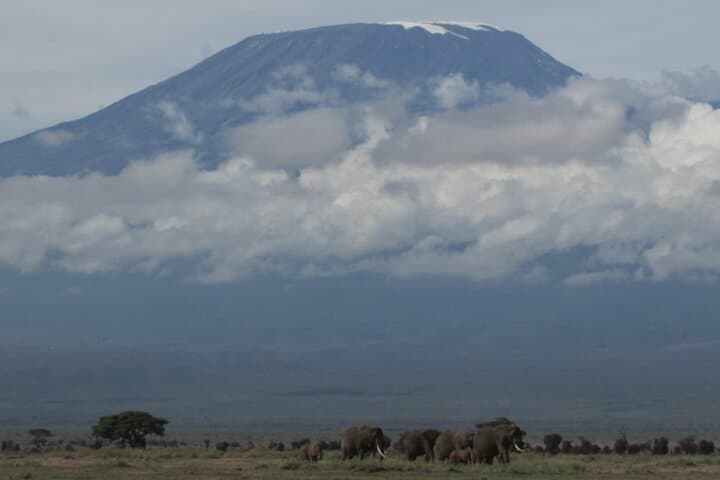 Amboseli Express Deluxe: 2-Day Safari with Kilimanjaro Views photo 2