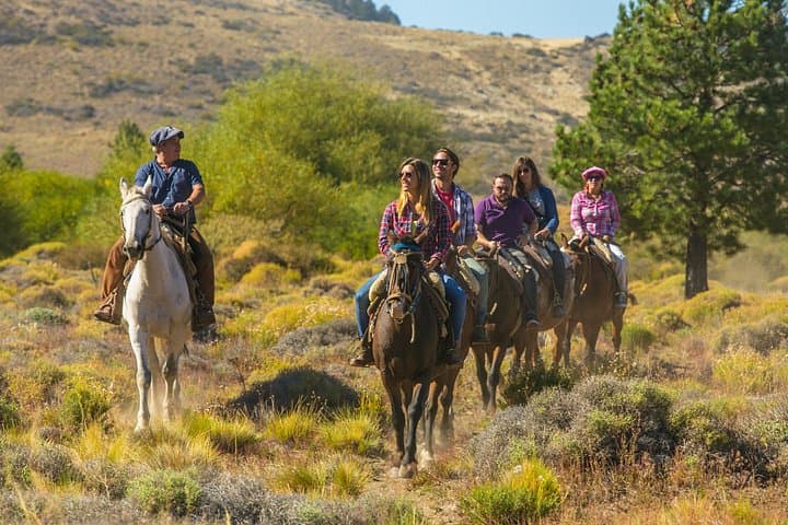 Ride the Andean Foothills: Bariloche Horseback Riding & Traditional Asado Experience photo 2