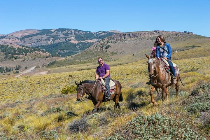 Ride the Andean Foothills: Bariloche Horseback Riding & Traditional Asado Experience photo 3