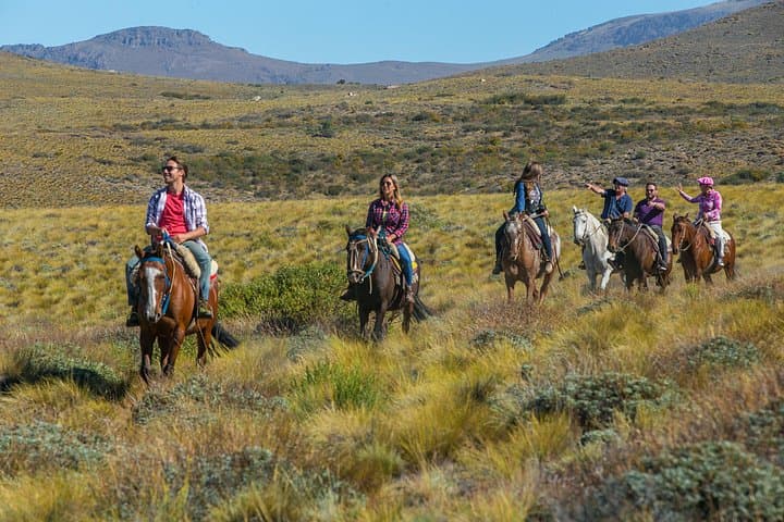 Ride the Andean Foothills: Bariloche Horseback Riding & Traditional Asado Experience photo 4