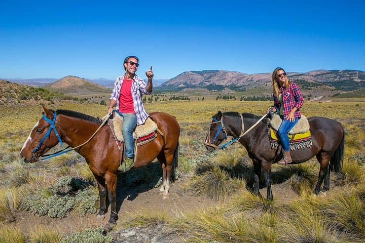 Ride the Andean Foothills: Bariloche Horseback Riding & Traditional Asado Experience photo 1