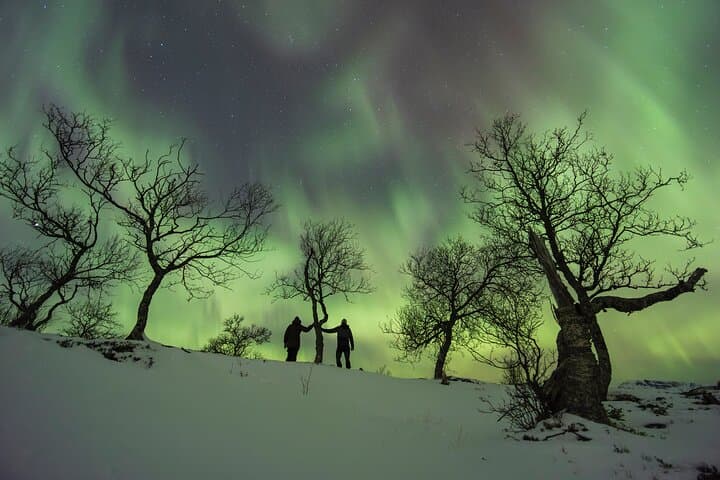 Chasing the Northern Lights from Tromsø: Small-Group Aurora Quest photo 6