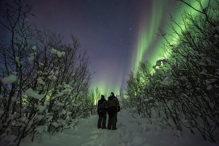 Chasing the Northern Lights from Tromsø: Small-Group Aurora Quest photo 5