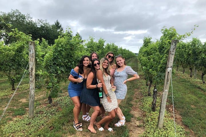 East End Long Island Wine Tour — Private Full-Day Tastings from NYC photo 2
