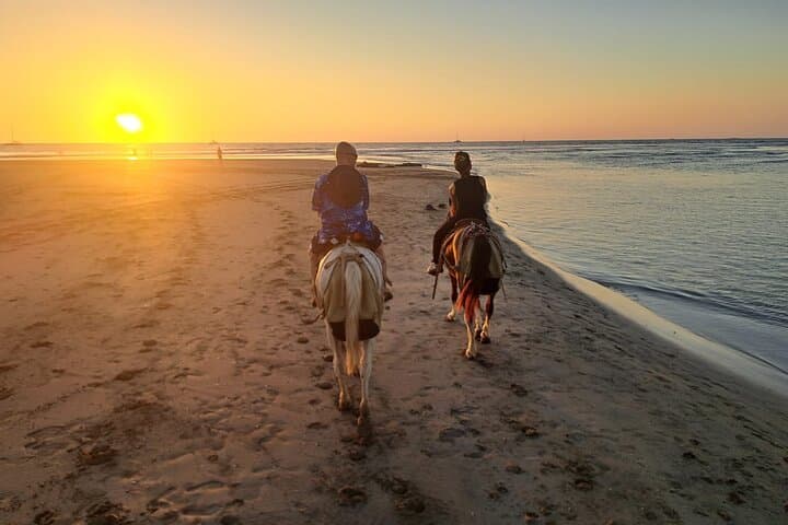Tamarindo Beach Horseback Riding: Sunrise & Sunset Beach Tours photo 4