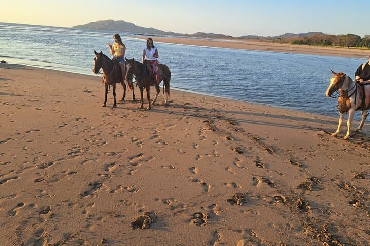 Tamarindo Beach Horseback Riding: Sunrise & Sunset Beach Tours photo 5