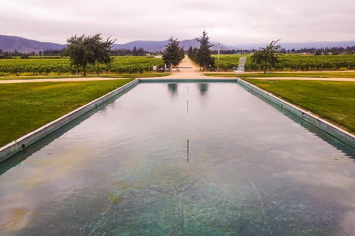 Sparkling Wines of Casablanca Valley: Half-Day Private Tasting & Llama Visit photo 4