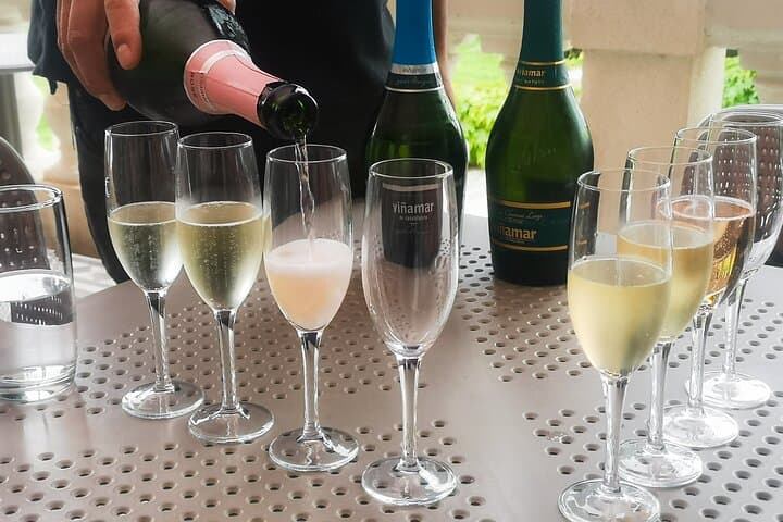 Sparkling Wines of Casablanca Valley: Half-Day Private Tasting & Llama Visit