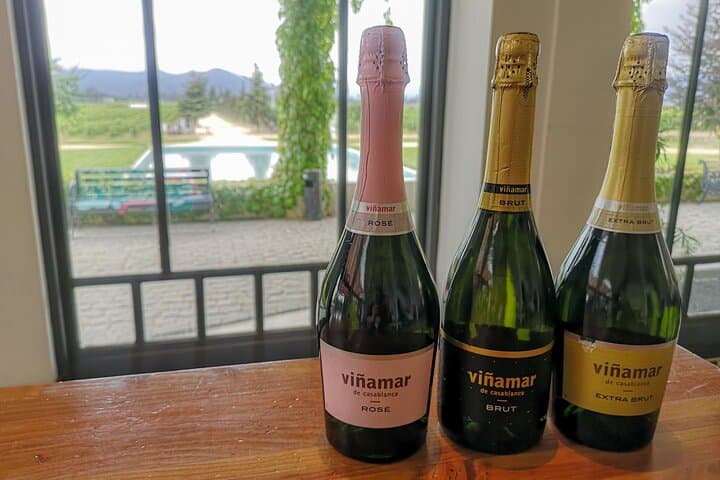 Sparkling Wines of Casablanca Valley: Half-Day Private Tasting & Llama Visit photo 6