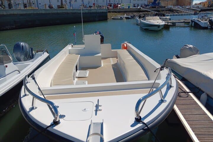 Dolphin Watching and Wildlife Trip from Faro — Ria Formosa Boat Tour photo 4