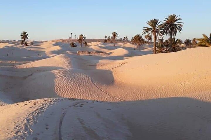Tunisia Al Complete: Personalized 6-Day Cultural & Sahara Tour photo 4